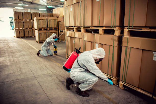 Best Best Pest Control Companies  in Harkers Island, NC