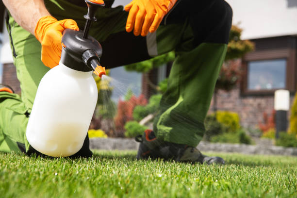 Best Affordable Pest Control Services  in Harkers Island, NC