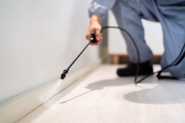 Best Pest Prevention Services  in Harkers Island, NC