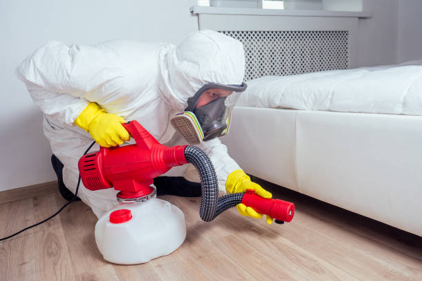 Best Emergency Pest Control  in Harkers Island, NC
