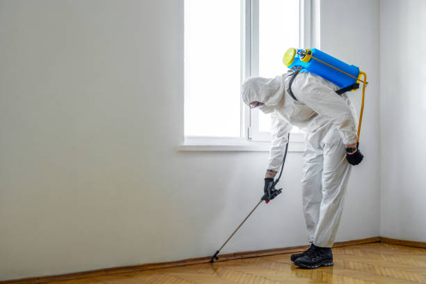 Best Pest Control for Homes  in Harkers Island, NC