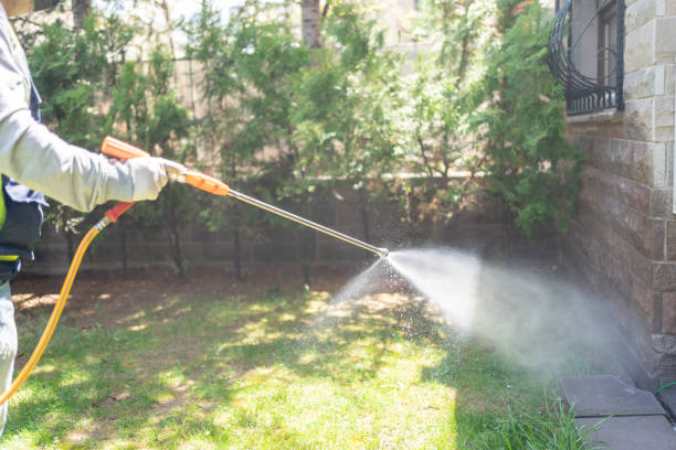 Pest Control for Restaurants in Harkers Island, NC
