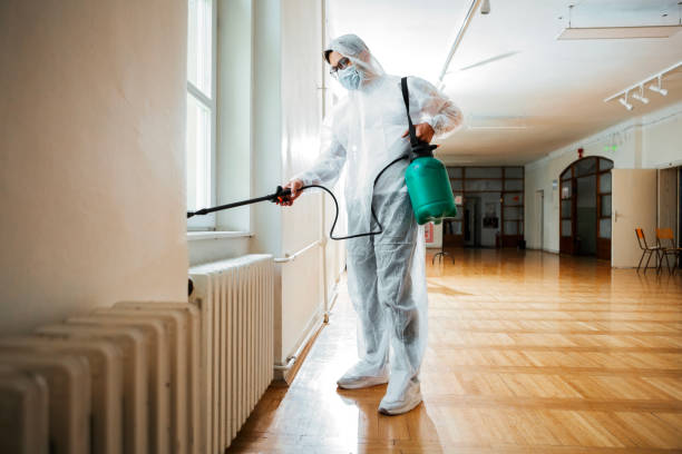 Best Best Pest Control Companies  in Harkers Island, NC