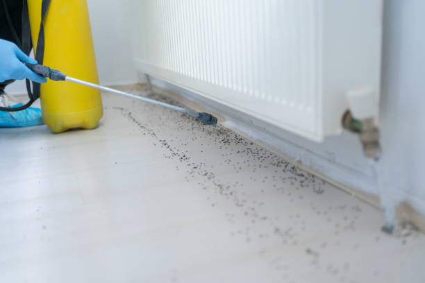 Harkers Island, NC Pest Control Company